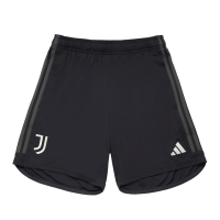 Juventus Soccer Shorts Replica Third 2023/24 Mens