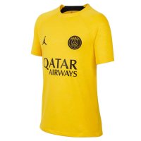 PSG Soccer Training Jersey Replica Yellow 2023/24 Mens (Pre-Match)