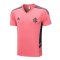 Internacional Soccer Training Jersey Replica Pink 2022/23 Men's