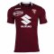 2020/21 Torino Home Mens Soccer Jersey Replica
