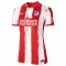 Atletico Madrid Soccer Jersey Replica Home Womens 2021/22