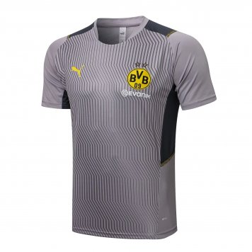 Borussia Dortmund Soccer Training Jersey Replica Grey Mens 2021-22