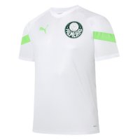 Palmeiras Soccer Training Jersey Replica White 2023/24 Men's
