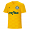 2020/21 SE Palmeiras Goalkeeper Yellow Mens Soccer Jersey Replica