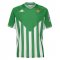 Real Betis Soccer Jersey Replica Home Mens 2021/22