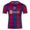 Barcelona Soccer Jersey Replica Pre Match 2023/24 Mens (Special Edition)
