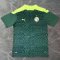Senegal Soccer Jersey Replica One star Green Away Mens 2021/22