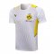 Borussia Dortmund Soccer Training Jersey Replica White Mens 2021-22