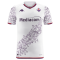Fiorentina Soccer Jersey Replica Away 2023/24 Mens