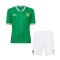 Ireland Soccer Jersey + Short Replica Home 2023 Youth
