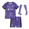 Liverpool Soccer Whole Kit Jersey + Short + Socks Replica Third 2023/24 Youth
