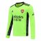 2020/21 Arsenal Goalkeeper Green Long Sleeve Mens Soccer Jersey Replica