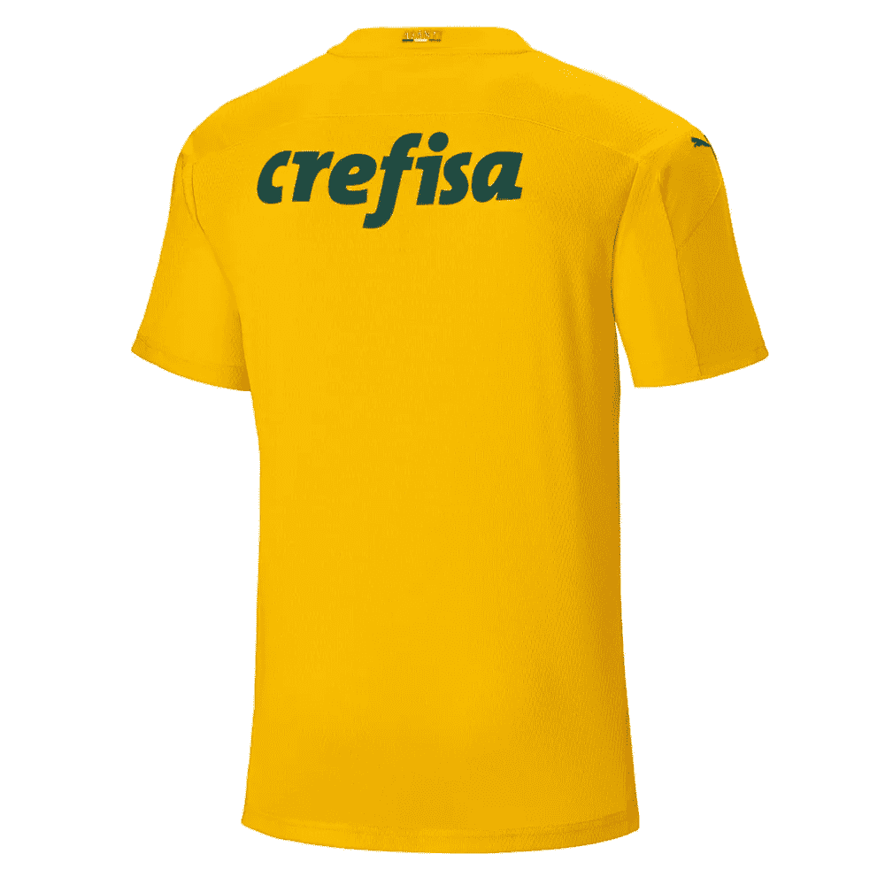 2020/21 SE Palmeiras Goalkeeper Yellow Mens Soccer Jersey Replica 