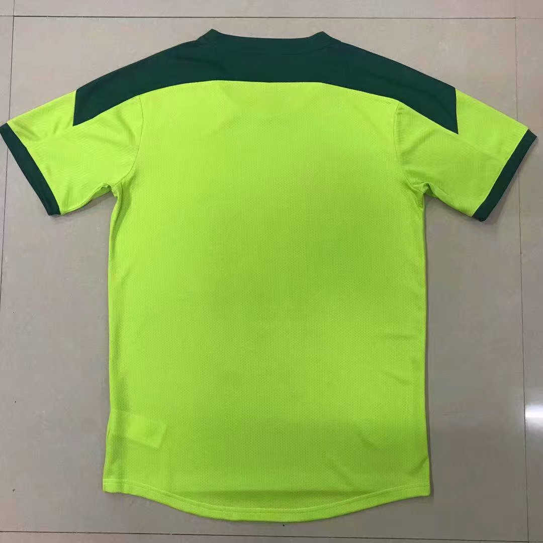 2021/22 Palmeiras Green Soccer Training Jersey Mens 