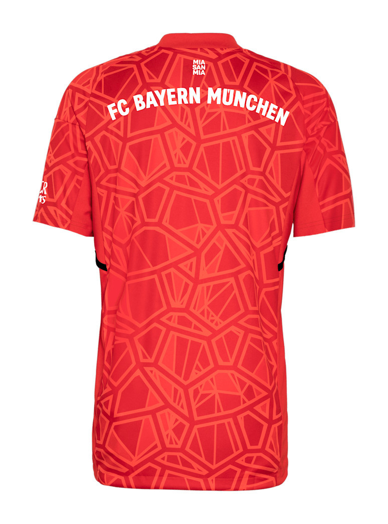 Bayern Munich Soccer Jersey Replica Third Goalkeeper 2022/23 Mens