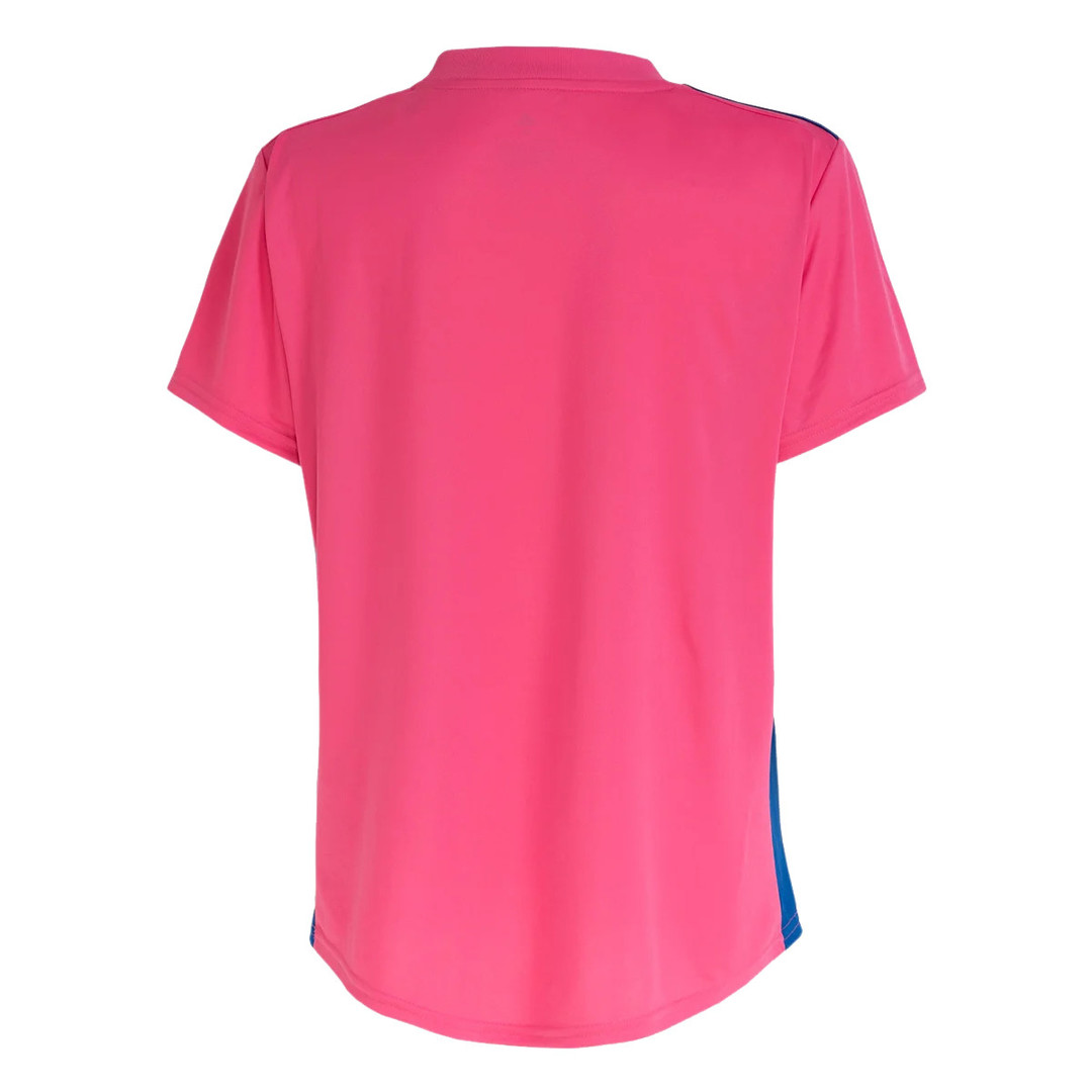 Cruzeiro Soccer Jersey Replica Camisa Outubro Rosa Pink 2022/23 Womens