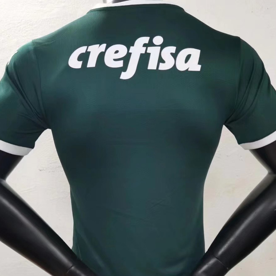 Palmeiras Soccer Jersey Replica Home Green Mens 2022/23 (Player Version)