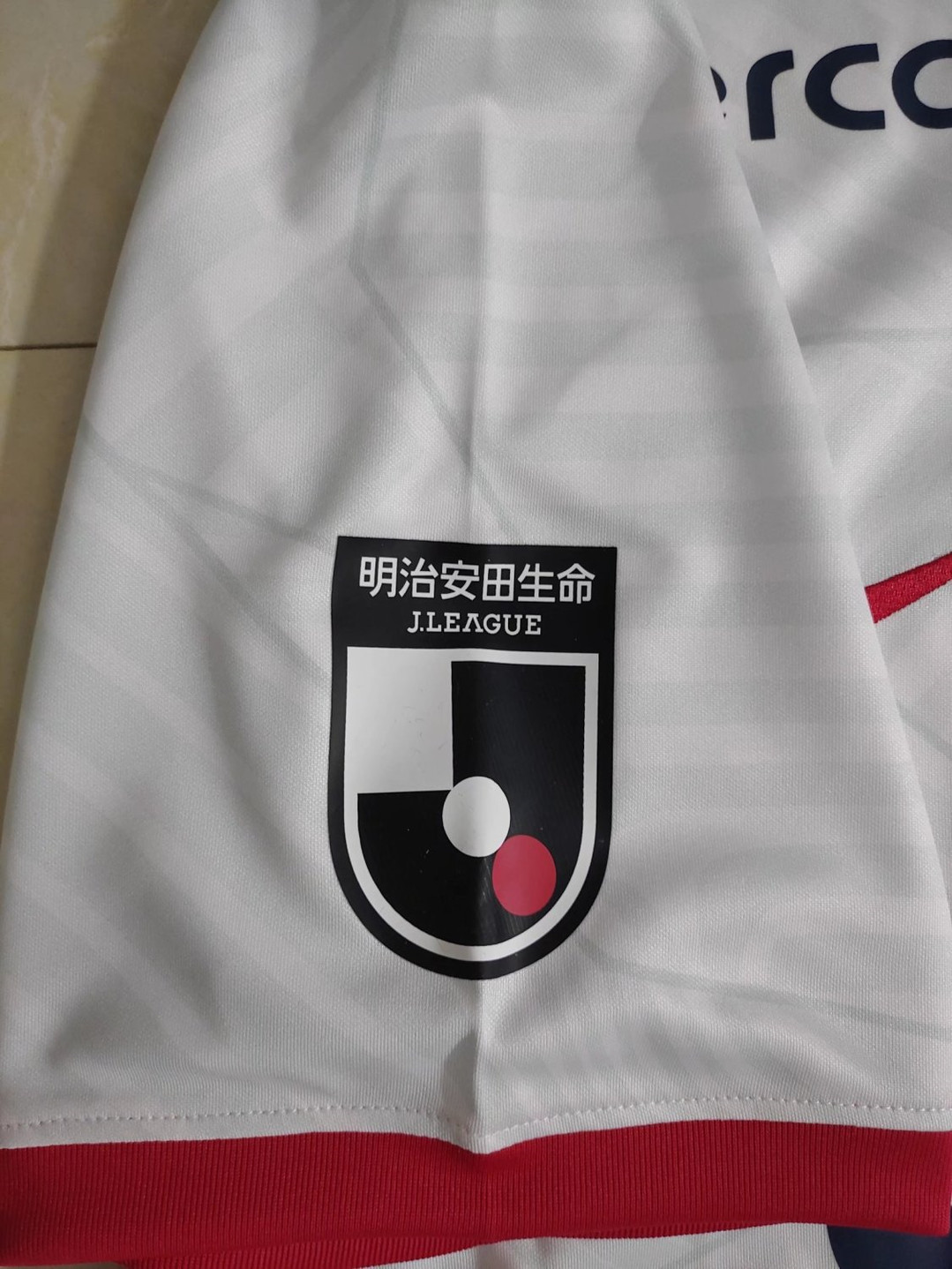 Kashima Antlers Soccer Jersey Replica Away Mens 2022/23
