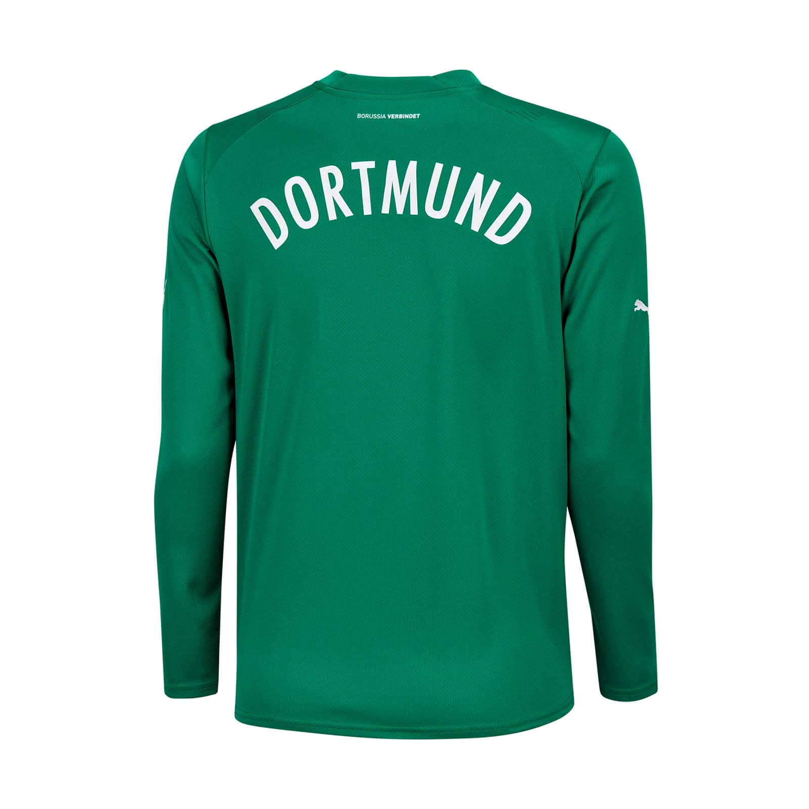 Borussia Dortmund Goalkeeper Green Soccer Jersey Replica Mens 2022/23