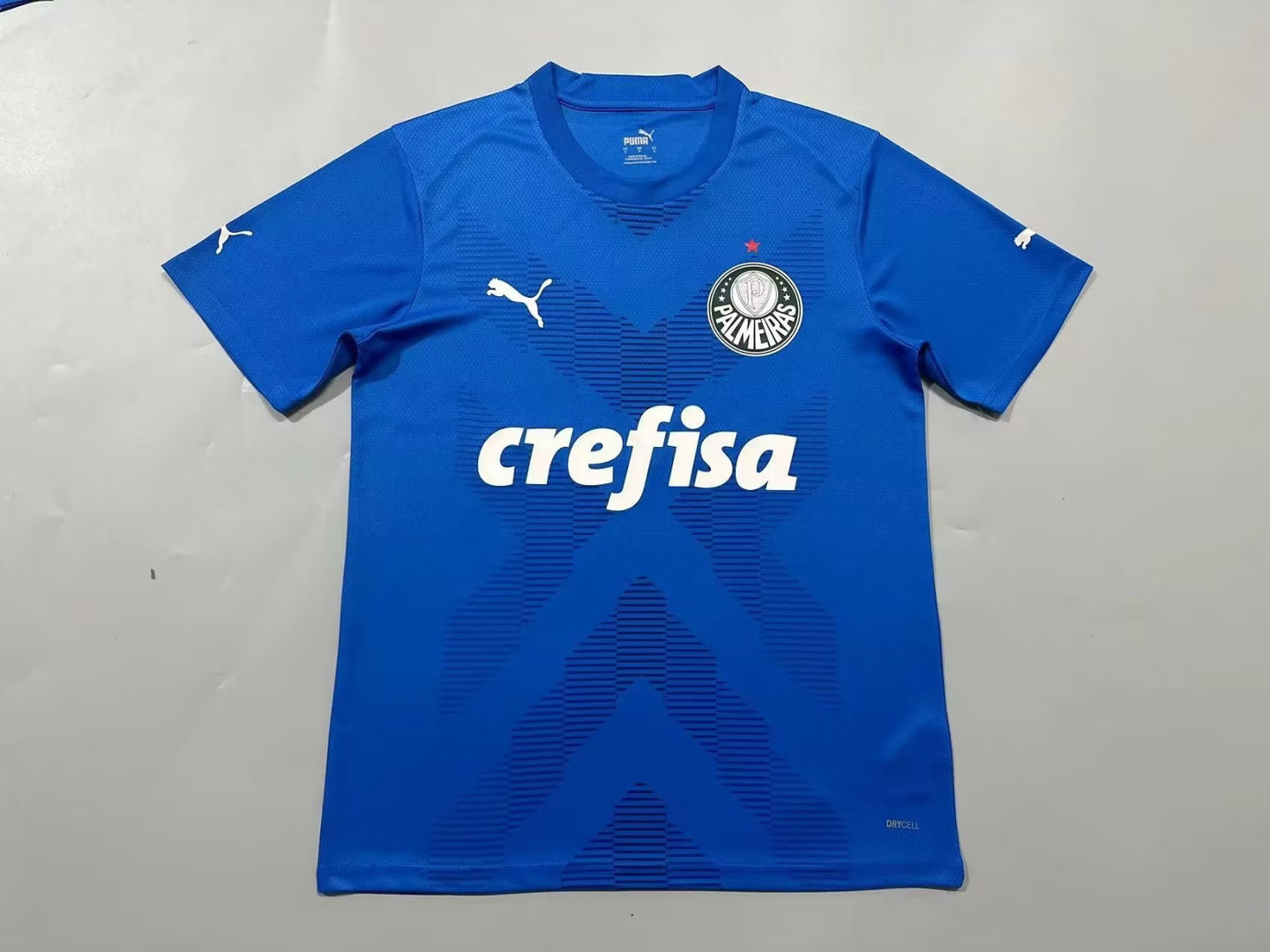 Palmeiras Soccer Jersey Replica Goalkeeper Blue 2023/24 Mens